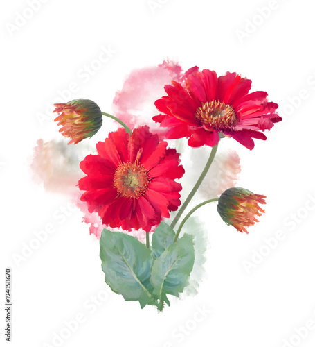Gerbera Flowers watercolor