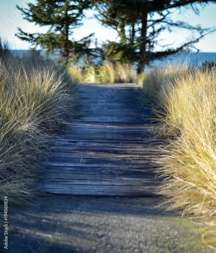 Beach Walkway