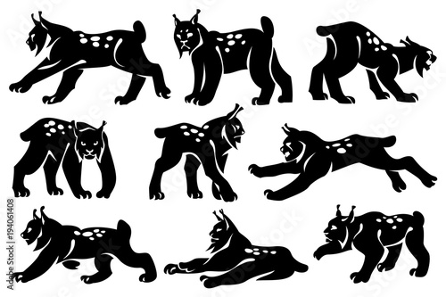A set of decorative illustrations of lynxes. Drawing on a white background. Design element.