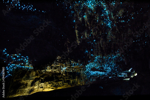 New Zealand Glow Worms in Waipu Cave