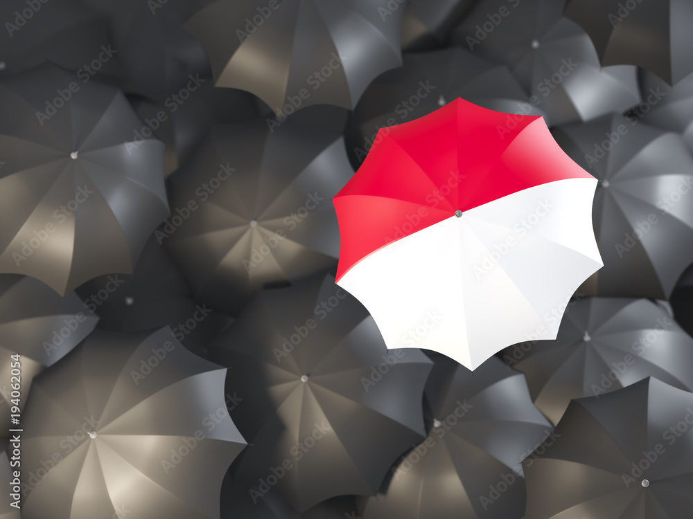 Umbrella with flag of indonesia Umbrella with flag of indonesia