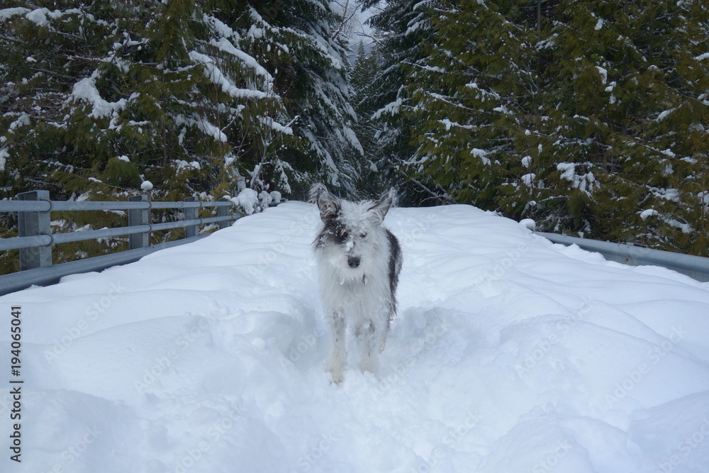 Obraz premium Landscapes of The Pacific Northwest, Washington State