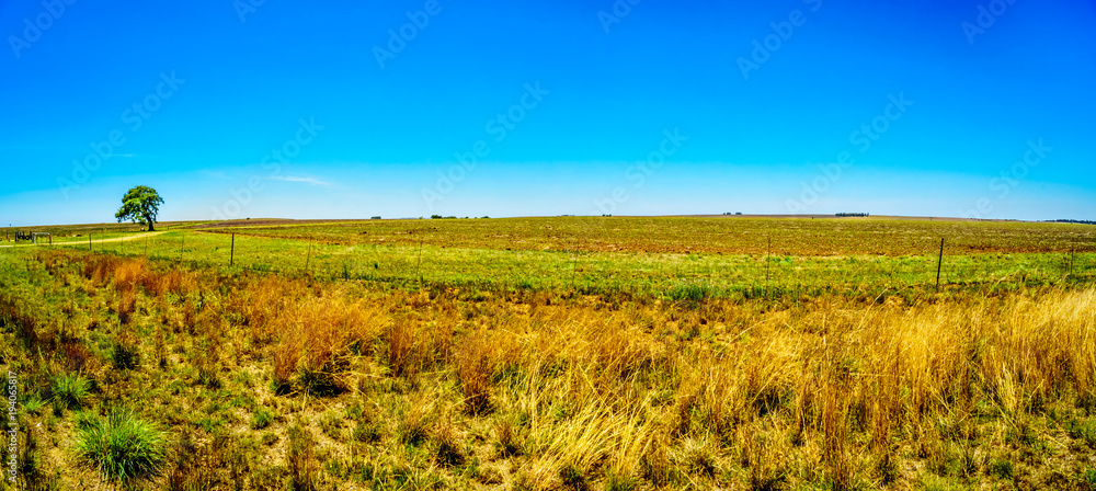 Obraz premium Panorama of the wide open farmland along the R39 in the Vaal River region of southern Mpumalanga province in South Africa