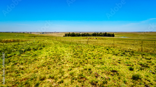 The wide open farmland along the R39 in the Vaal River region of southern Mpumalanga province in South Africa photo
