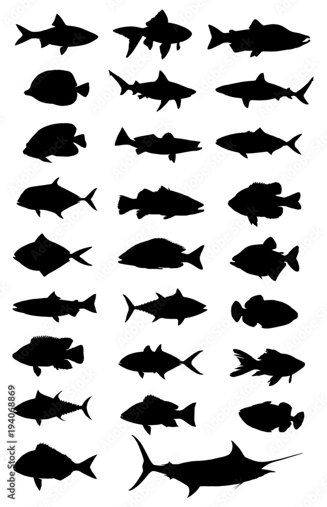 Fototapeta premium Fish Silhouettes