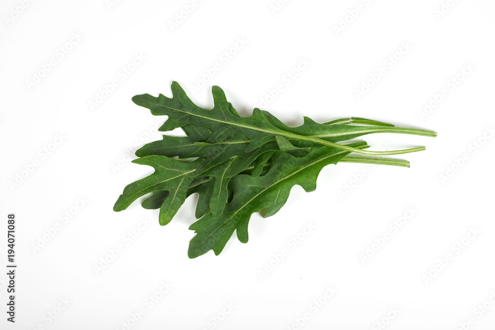 green fresh ruccola isolated on white background, close up studio shot green fresh ruccola isolated on white background, close up studio shot