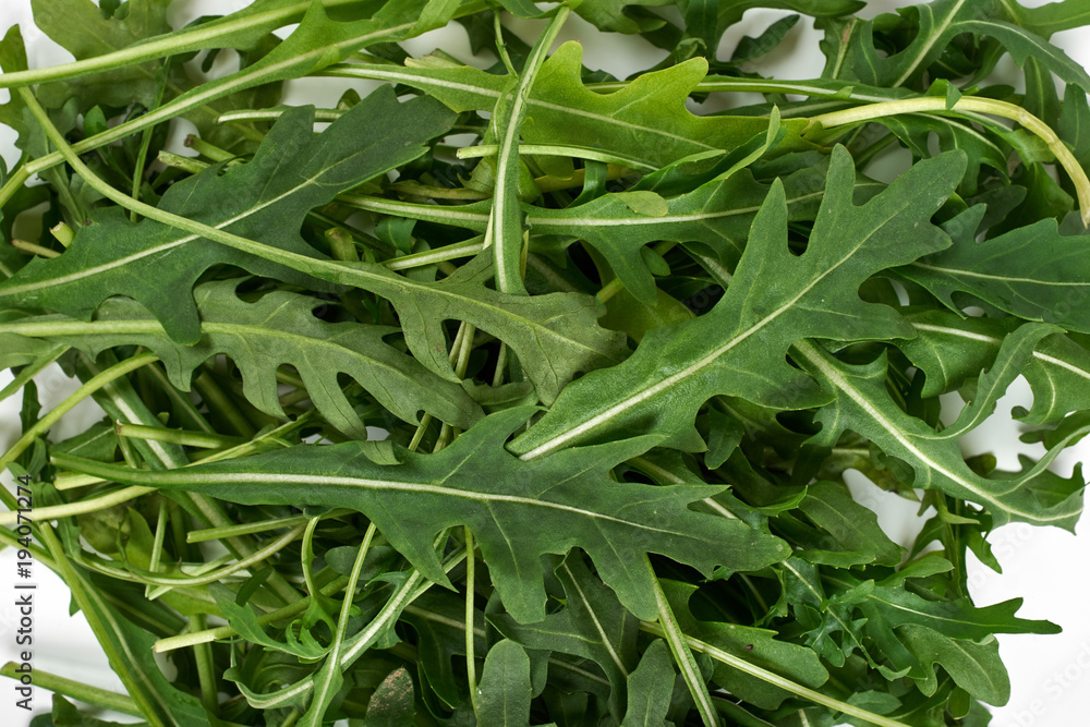 green fresh ruccola isolated on white background, close up studio shot green fresh ruccola isolated on white background, close up studio shot