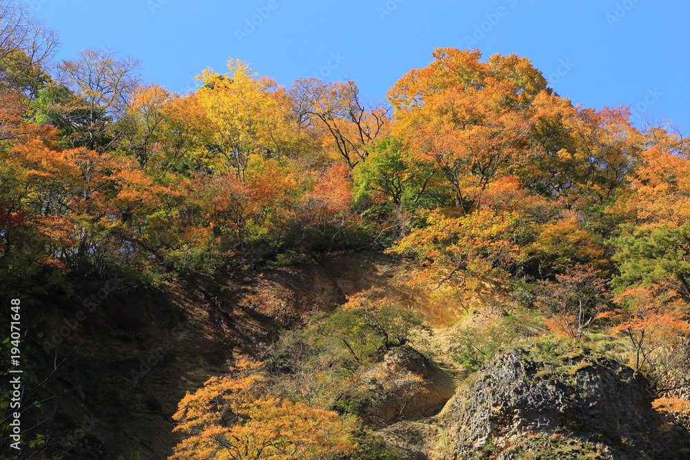 里山の紅葉　Autumn of the low mountain	