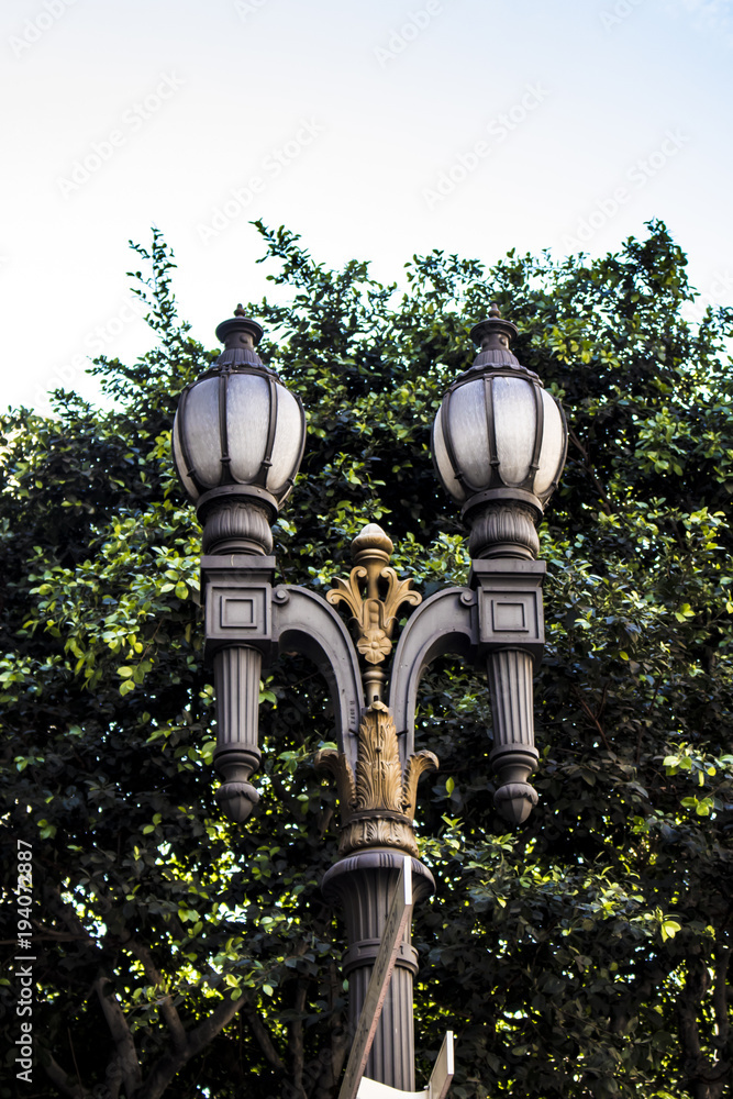 Classic Double Light Street Lamp with Tree behind It in the Old Bank District of Downtown Los Angeles Classic Double Light Street Lamp with Tree behind It in the Old Bank District of Downtown Los Angeles