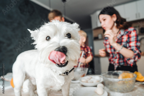 Bild auf Leinwand Dog on the kitchen table. Happy family in the kitchen