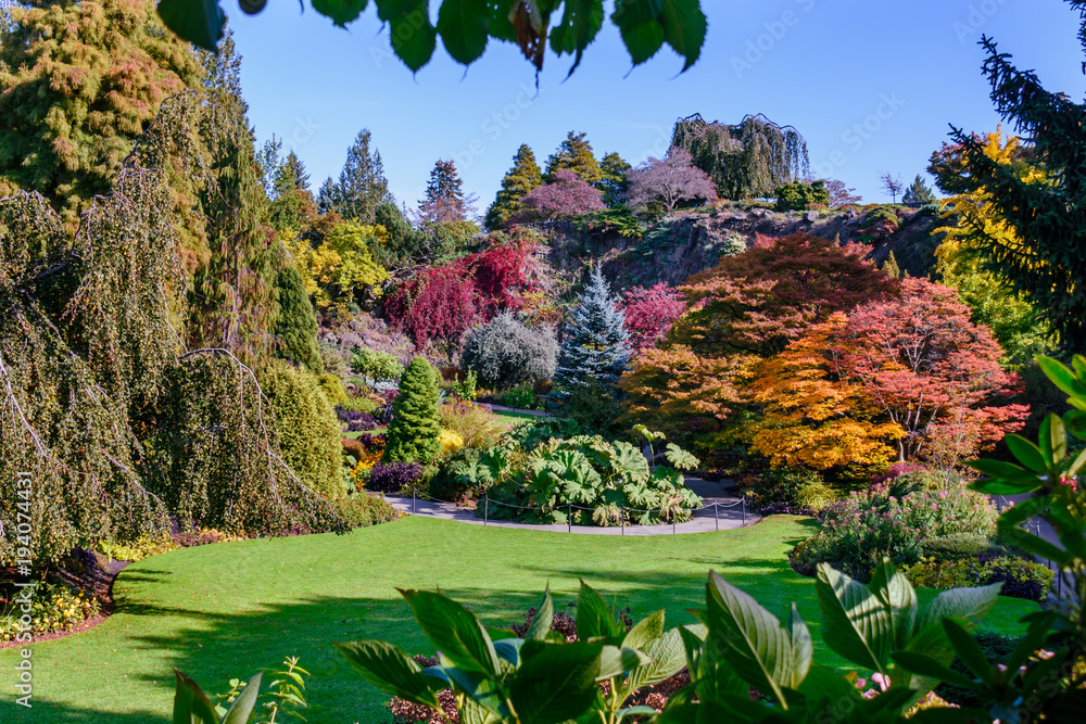 Arboretum with colorful trees and bushes, green lawn