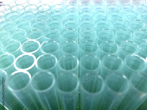 Pipette Tips in Holder