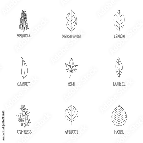 Foliage icons set. Outline set of 9 foliage vector icons for web isolated on white background