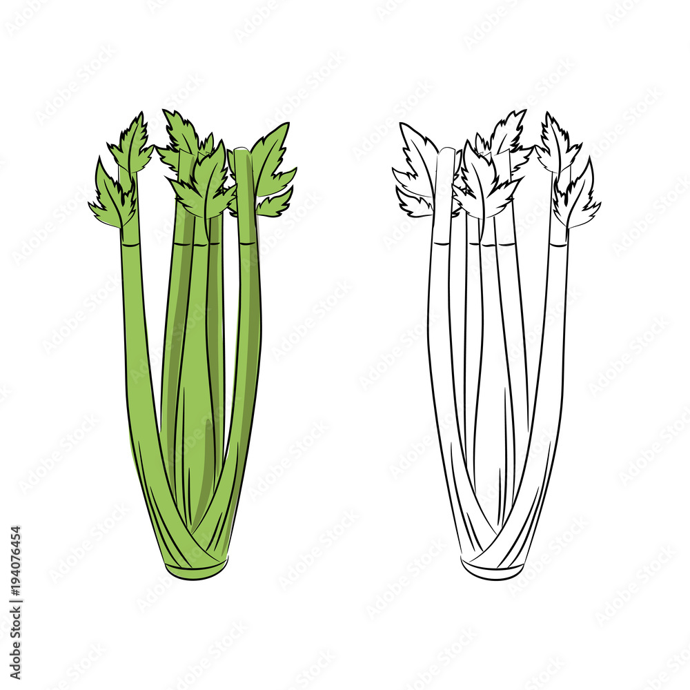 Celery Coloring Pages