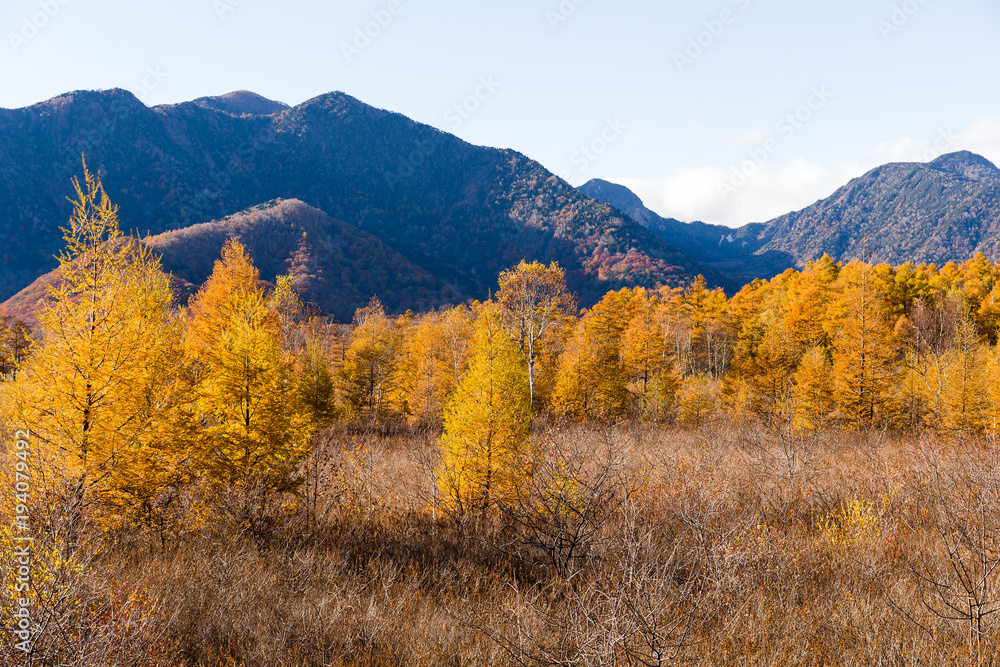 Mount Nantai and golden autumn in Japan