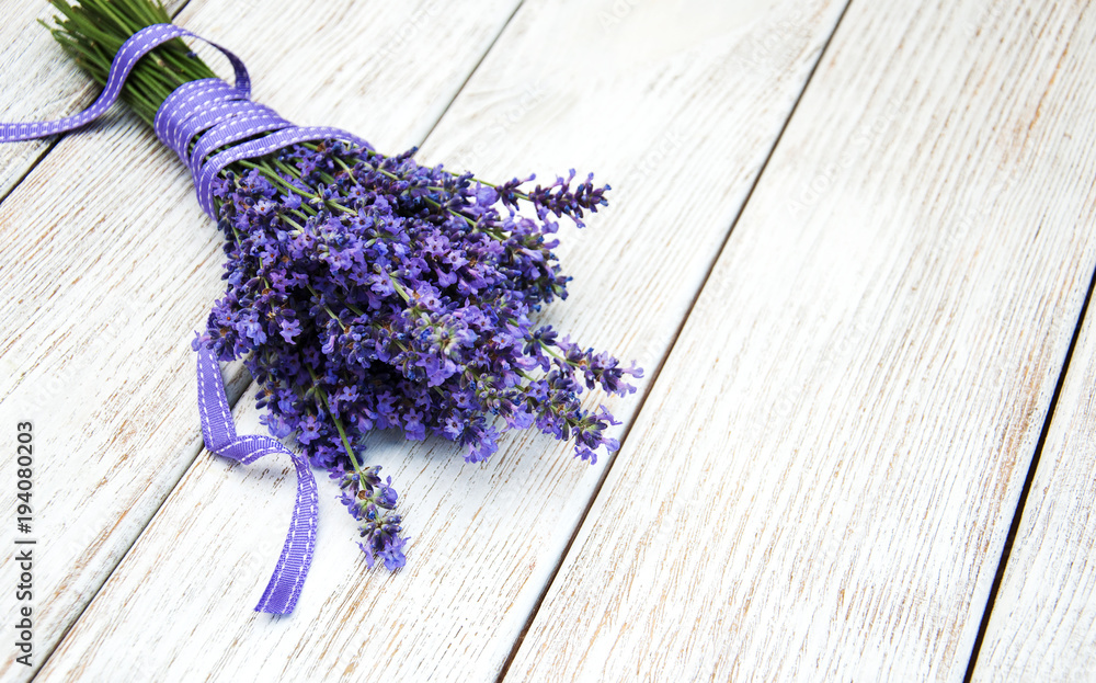 bunch of lavender bunch of lavender