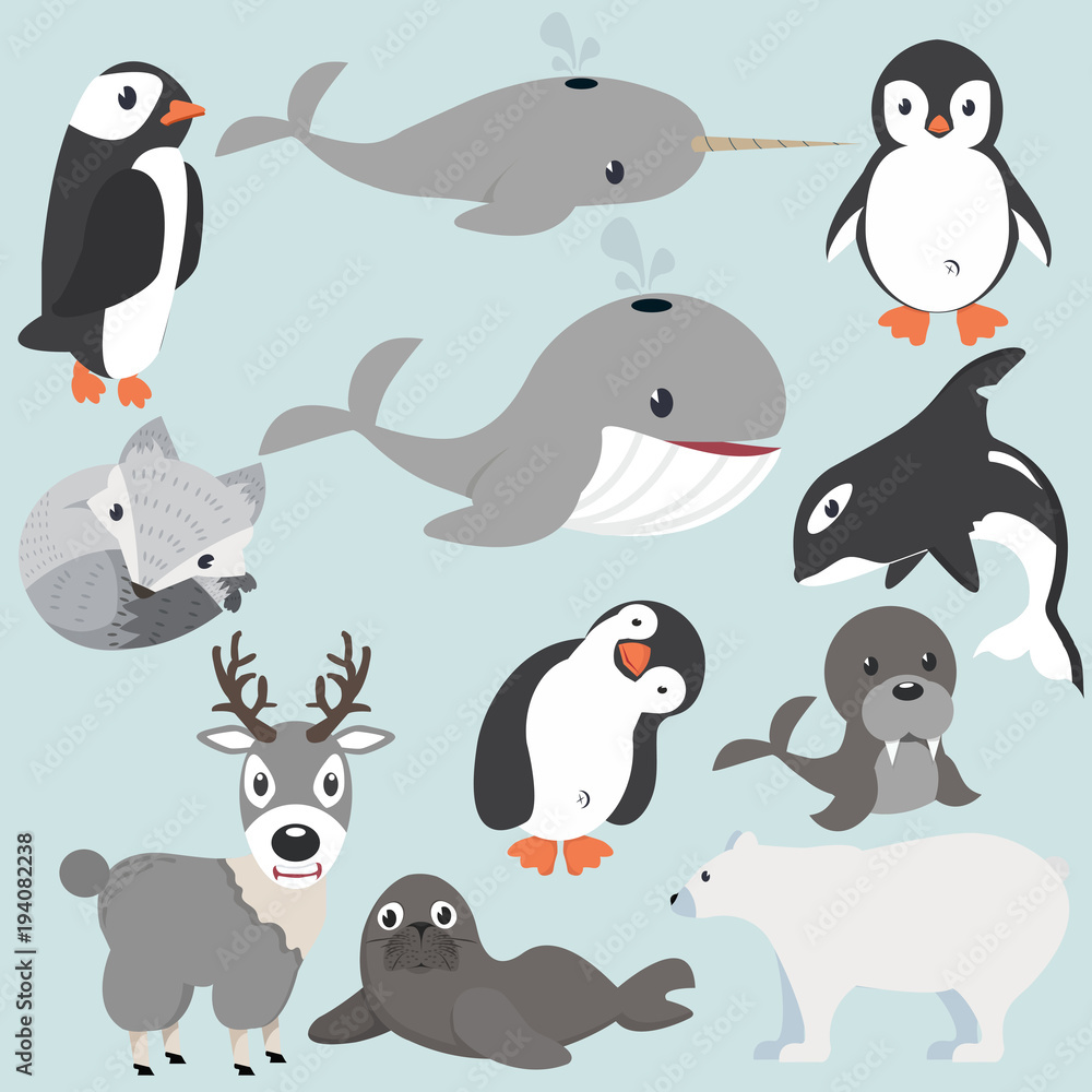 Artic animals cartoon collection Artic animals cartoon collection