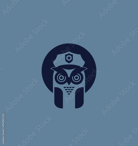 Security vector icon illustration.owl with Security hat photo