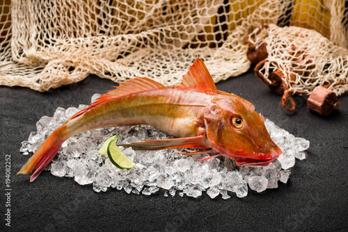 Obraz na płótnie Red gurnard fish on ice on black stone background w salonie
