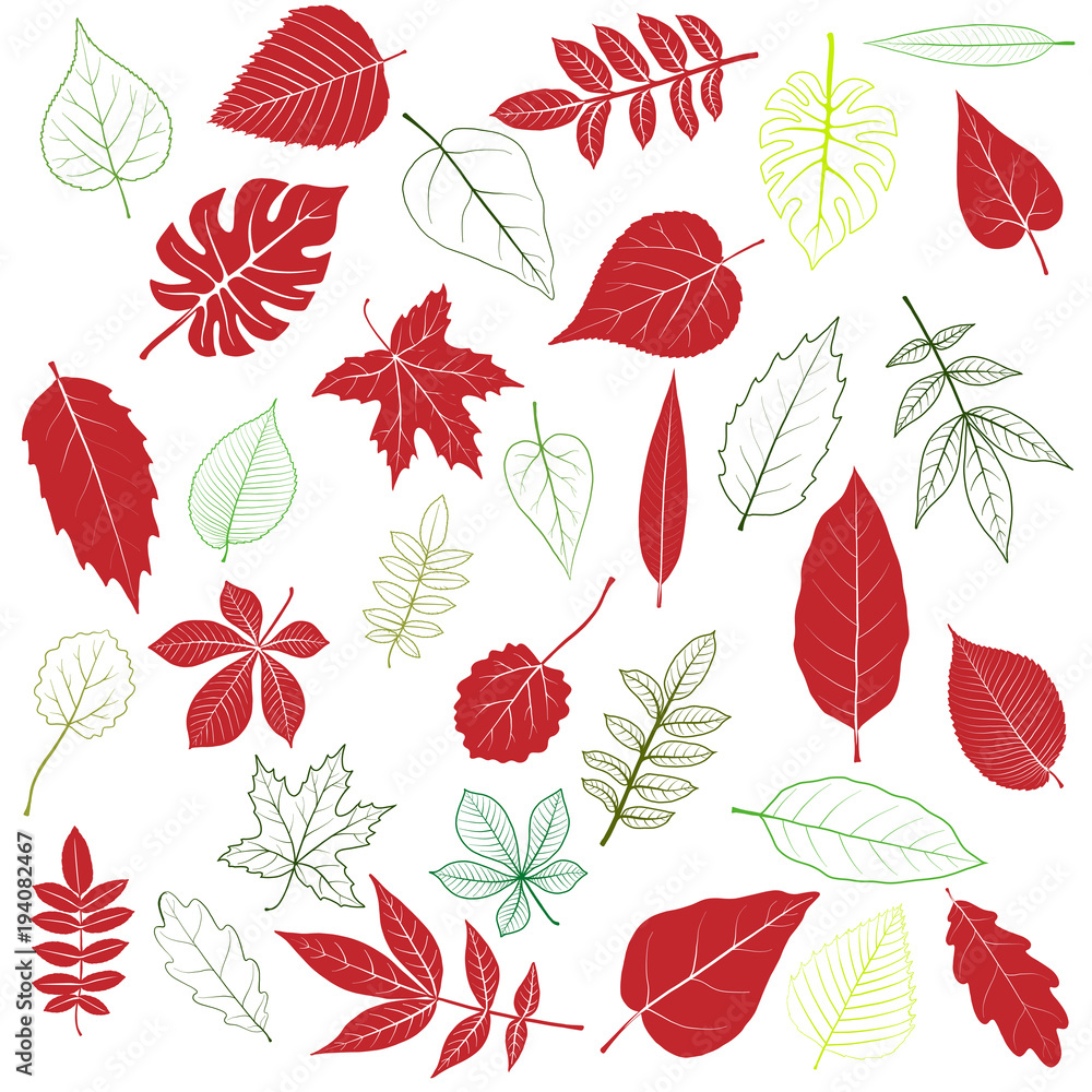 vector set of tree leaves vector set of tree leaves