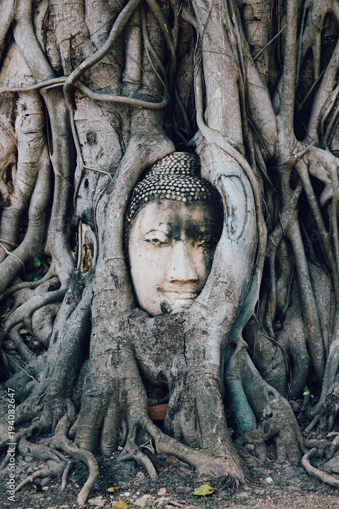 Buddha statue trapped in tree roots at Wat Maha That, Ayutthaya, Thailand