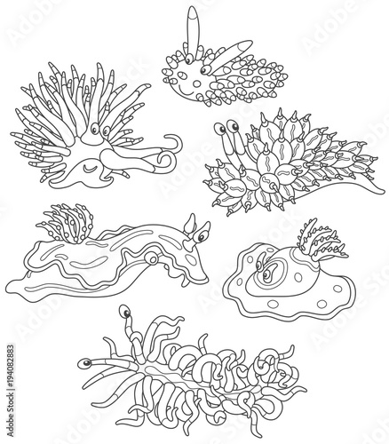 Collection of funny sea monsters - molluscs, black and white vector illustrations in a cartoon style for a coloring book