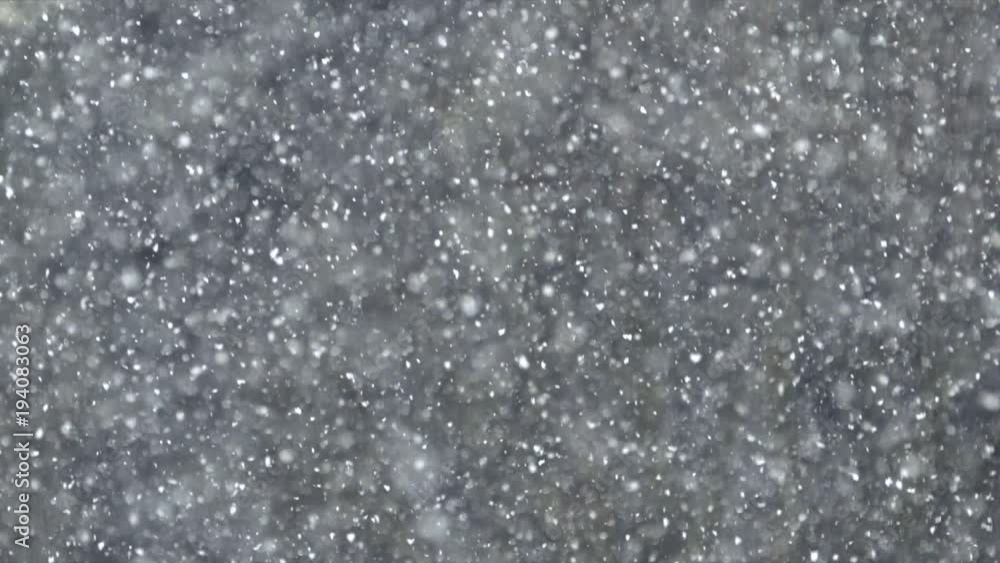 Snow falling in forest Snow falling in forest