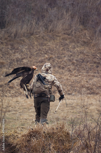 Eagle on man's hand