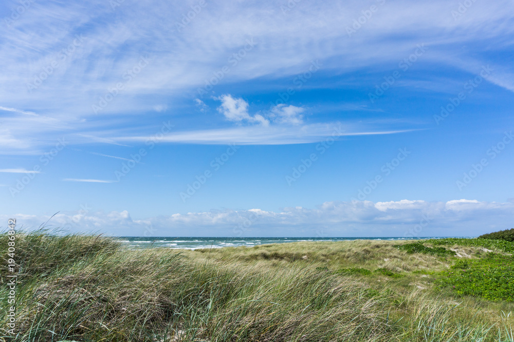Obraz premium Weststrand auf dem Darss