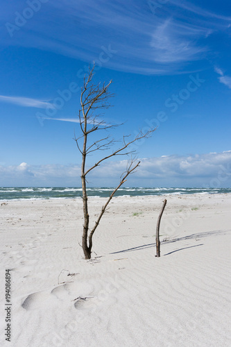 Weststrand auf dem Darss