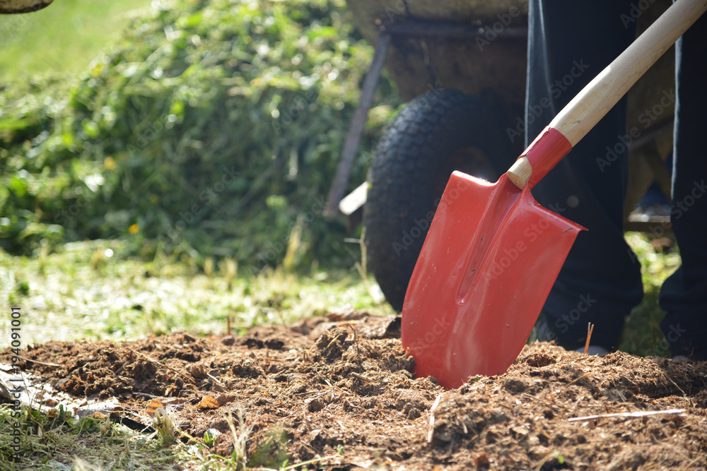 Home farming urban farm planting herbs aromatic plants Home farming urban farm planting herbs aromatic plants