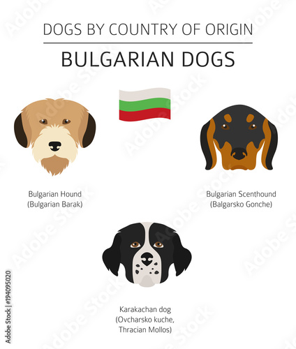 Dogs by country of origin. Bulgarian dog breeds. Infographic template