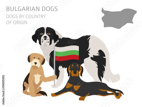 Dogs by country of origin. Bulgarian dog breeds. Infographic template