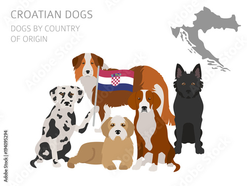 Dogs by country of origin. Croatian dog breeds. Infographic template