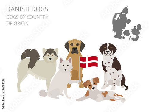Dogs by country of origin. Danish dog breeds. Infographic template