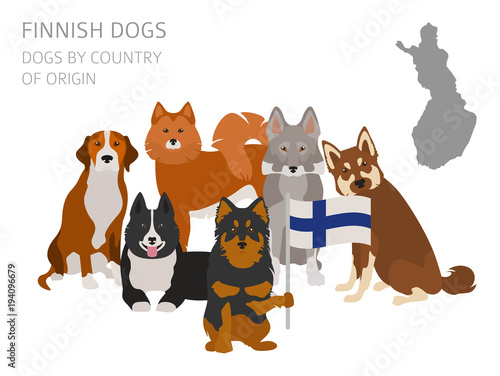 Dogs by country of origin. Finnish dog breeds. Infographic template