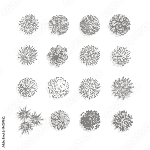 Different plants and trees vector set for landscape design