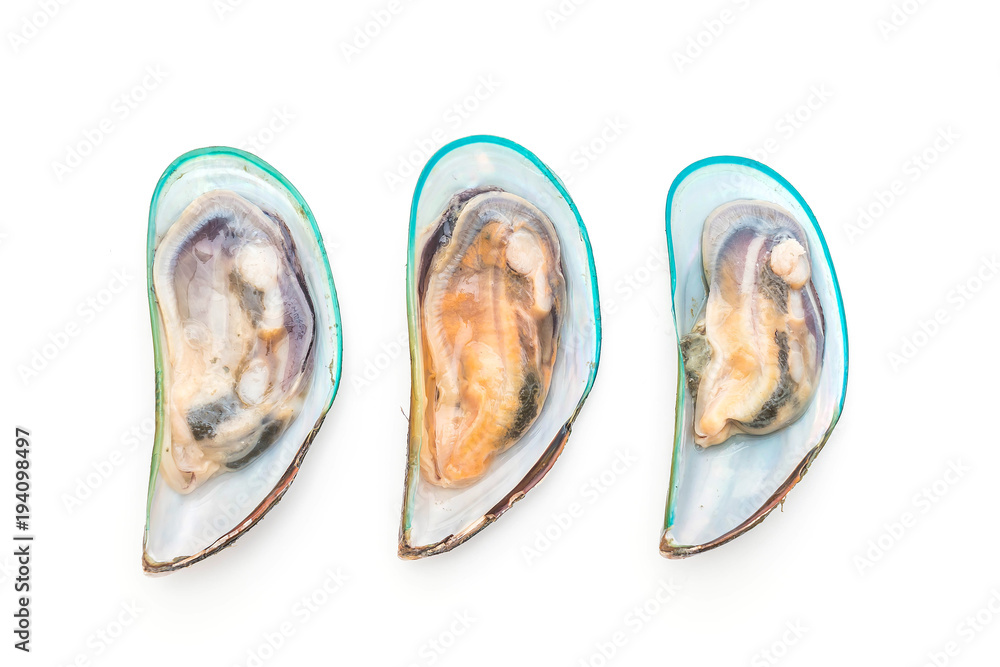 Fototapeta premium fresh mussels on white background