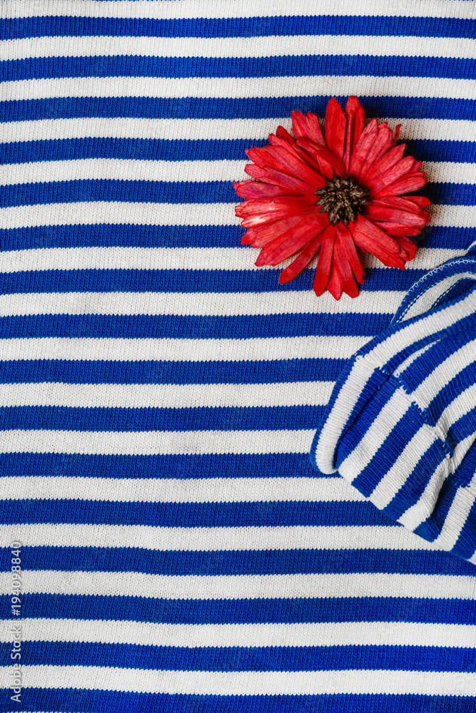 Obraz premium red flower on striped blue white nautical shirt