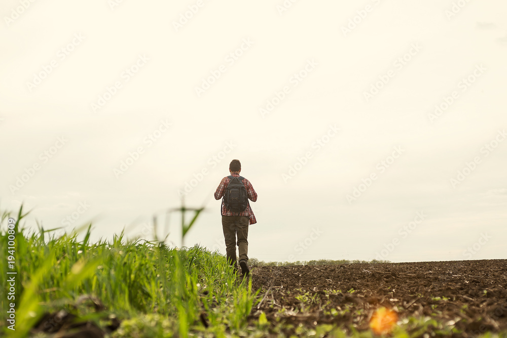 Fototapeta premium alone man walks in the field