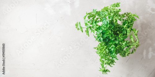 Bunch of parsley on grey concrete background