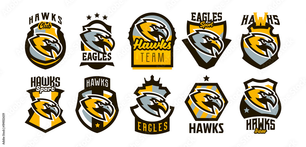 A colorful set of logos, stickers, emblems of a hawk and an eagle. A formidable hawk, a hunter, a predator, a dangerous animal, a lettering, a shield. Mascot sports club, vector illustration