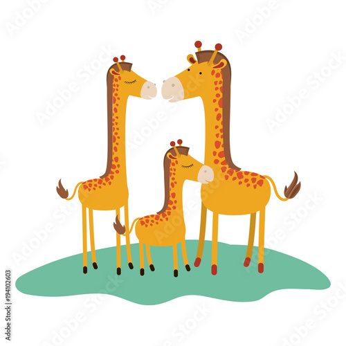 Photography cartoon giraffes couple with calf over grass in colorful silhouette on white bac