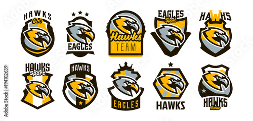 A colorful set of logos, stickers, emblems of a hawk and an eagle. A formidable hawk, a hunter, a predator, a dangerous animal, a lettering, a shield. Mascot sports club, vector illustration