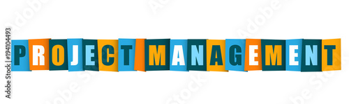 PROJECT MANAGEMENT Vector Letters Icon