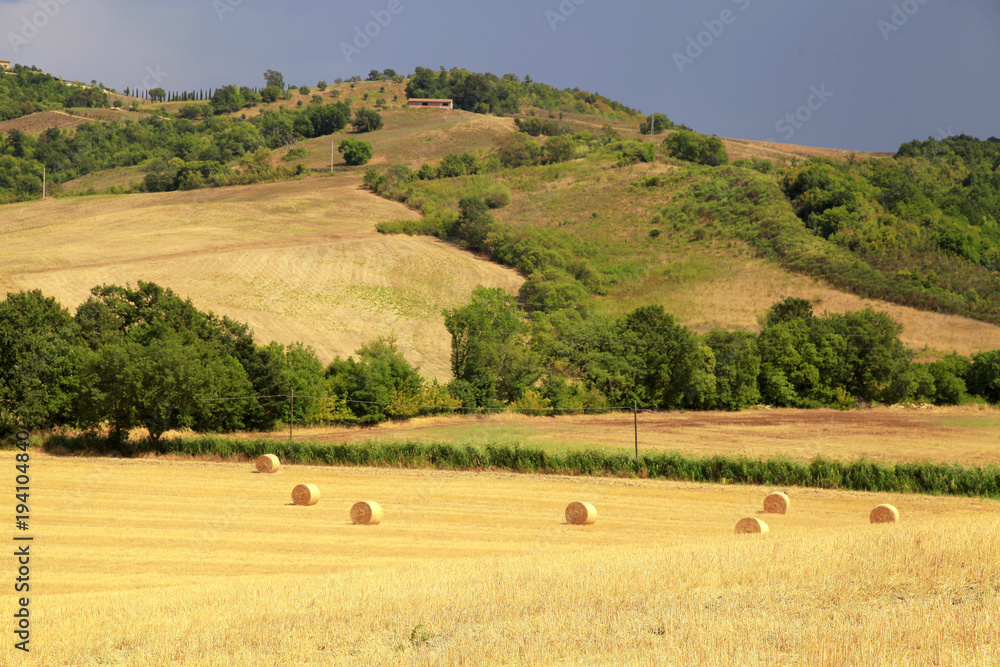 Fototapeta premium Tuscany landscape with hills, yellow fields and hay bales, Tuscany, Italy.