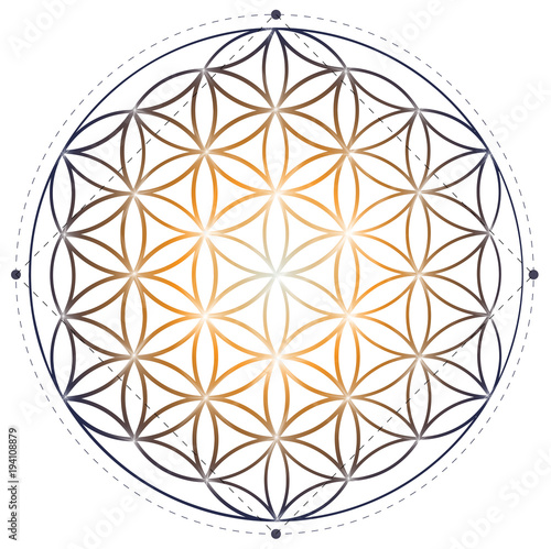 Sacred geometry illustration: Flower of Life symbol.