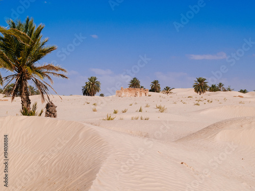 sand dunes in the sahara desert near Douz Tunisia Africa © Emanuele Capoferri