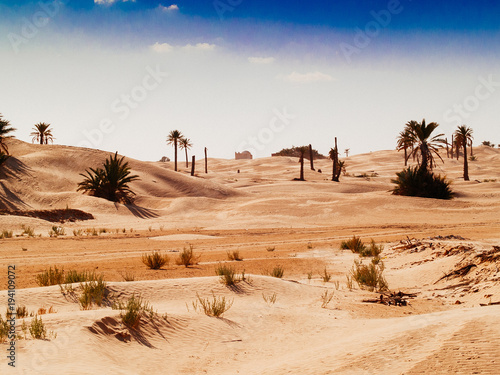 sand dunes in the sahara desert near Douz Tunisia Africa