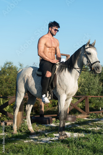 White Horse and Rider in Nature Outdoors © Jale Ibrak